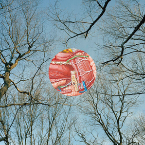 They Might Be Giants - Glean LP (180g Clear w/ Red Vinyl)