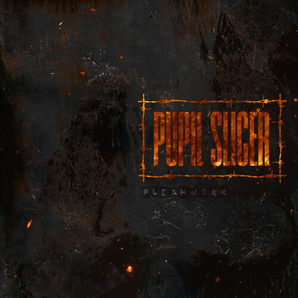 Pupil Slicer - Fleshwork LP