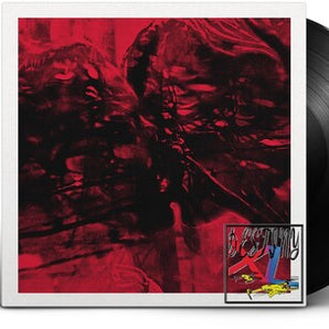 They Are Gutting a Body of Water - Destiny XL LP