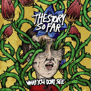 The Story So Far - What You Don't See LP (Blue/White splatter vinyl)