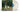 Bad Bunny - Debi Tirar Mas Fotos 2LP (White Vinyl)