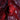 Blackwater Holylight - Not Here Not Gone LP (Red Vinyl)