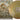 Black Label Society - Catacombs Of The Black Vatican 2xLP (Gold Vinyl)