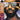 Gil Scott-Heron - REFLECTIONS LP (RSD2026)