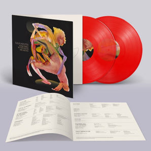 Julia Holter - Something In The Room She Moves 2LP (Red Vinyl)