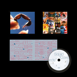 Squid - Cowards CD