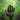 Agents Of Oblivion - Agents Of Oblivion CD