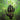 Agents Of Oblivion - Agents Of Oblivion CD