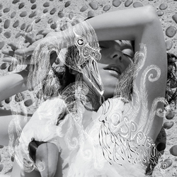 Bjork - Vespertine CD