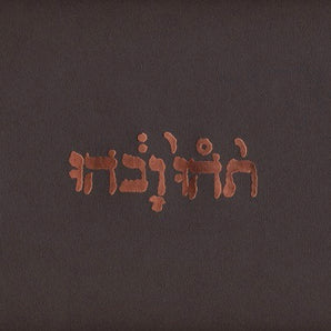 Godspeed You Black Emperor - Slow Riot For New Zero Kanada EP 12-inch