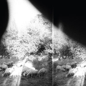 Godspeed You! Black Emperor - Asunder, Sweet And Other Distress CD