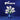 Durand Jones & The Indications - Flowers CD