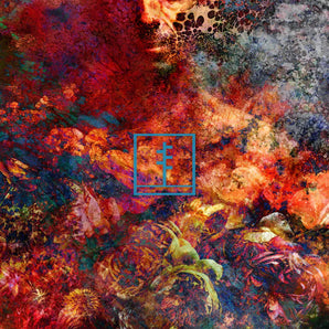 Frail Body - Artificial Bouqet LP (Beer w/ Red Cornetto Vinyl)