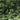 Gas - Der Lange Marsch CD