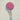 Broken Bells - Into The Blue LP