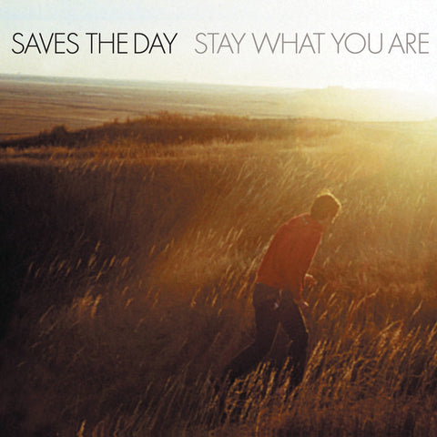 Saves the Day - Stay What You Are 2x10-inch