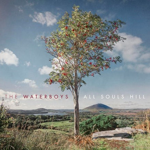 Waterboys - All Souls Hill LP