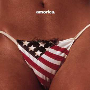 Black Crowes - Amorica LP