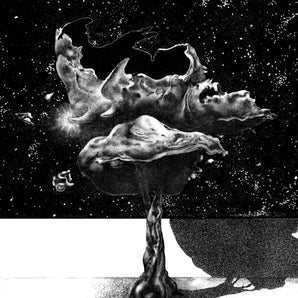 Somafree Institute - Seek Sound Shelter LP