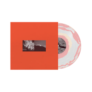 Raein - Collection of Splits and EPs 2004-2015 (Pink Bone and Clear Smash Vinyl)