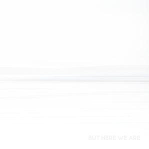 Foo Fighters - But Here We Are LP (White vinyl)