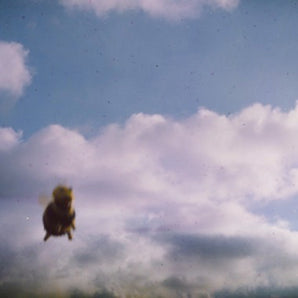 Pond -  Stung CD