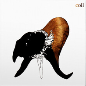 Coil - Black Antlers CD