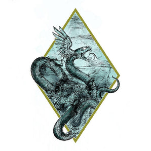 TEMPESTARII - A Constellation Of Dead Stars LP