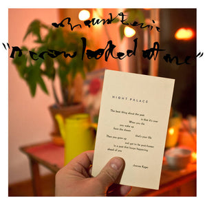 Mount Eerie - A Crow Looked At Me LP