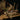 Wolves In The Throne Room - Primordial Arcana CD