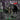 Alleyway - Speed Metal, Thunder And Rage LP