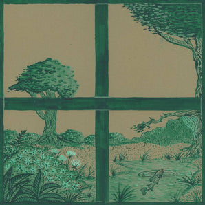 David Longstreth / Dirty Projectors / s t a r g a z e - Song Of The Earth LP (MARKDOWN)
