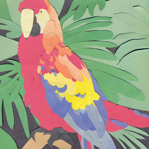 Algernon Cadwallader - Parrot Flies LP
