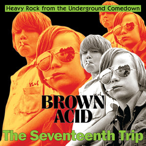 Various Artists - Brown Acid: The Seventeenth Trip LP