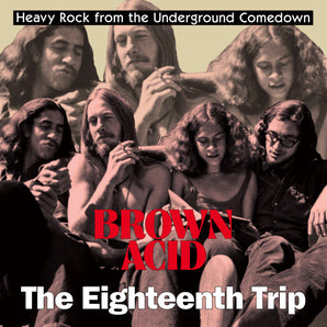 Various Artists - Brown Acid: The Eighteenth Trip LP