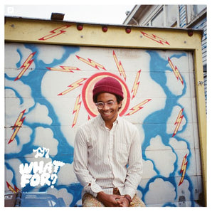 Toro y Moi - What For?