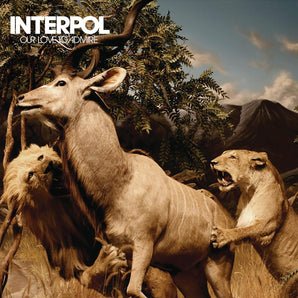 Interpol - Our Love To Admire LP