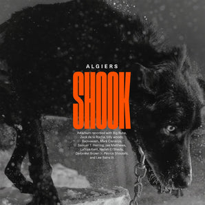 Algiers - Shook LP (MARKDOWN)