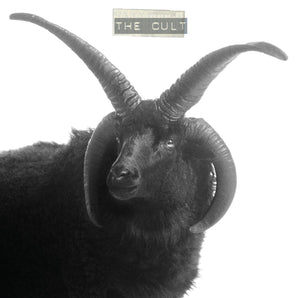 Cult - The Cult (INDIE EXCLUSIVE, WHITE VINYL) LP