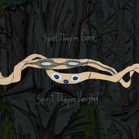 Animal Collective - Spirit They're Gone, Spirit They've Vanished (Remastered 2023) (INDIE EXCLUSIVE,  GRASS GREEN VINYL) 2LP